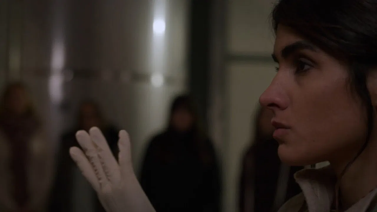 Hygiene Standards backdrop