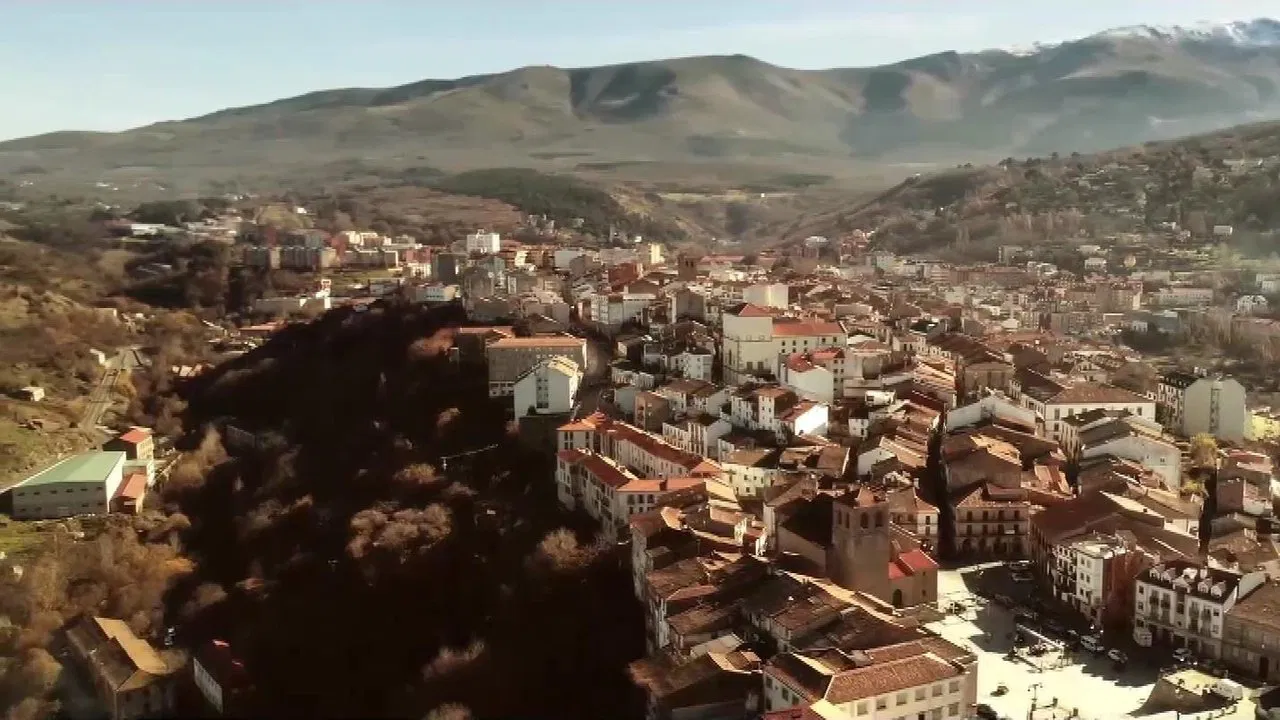 Desmadre Incluido backdrop