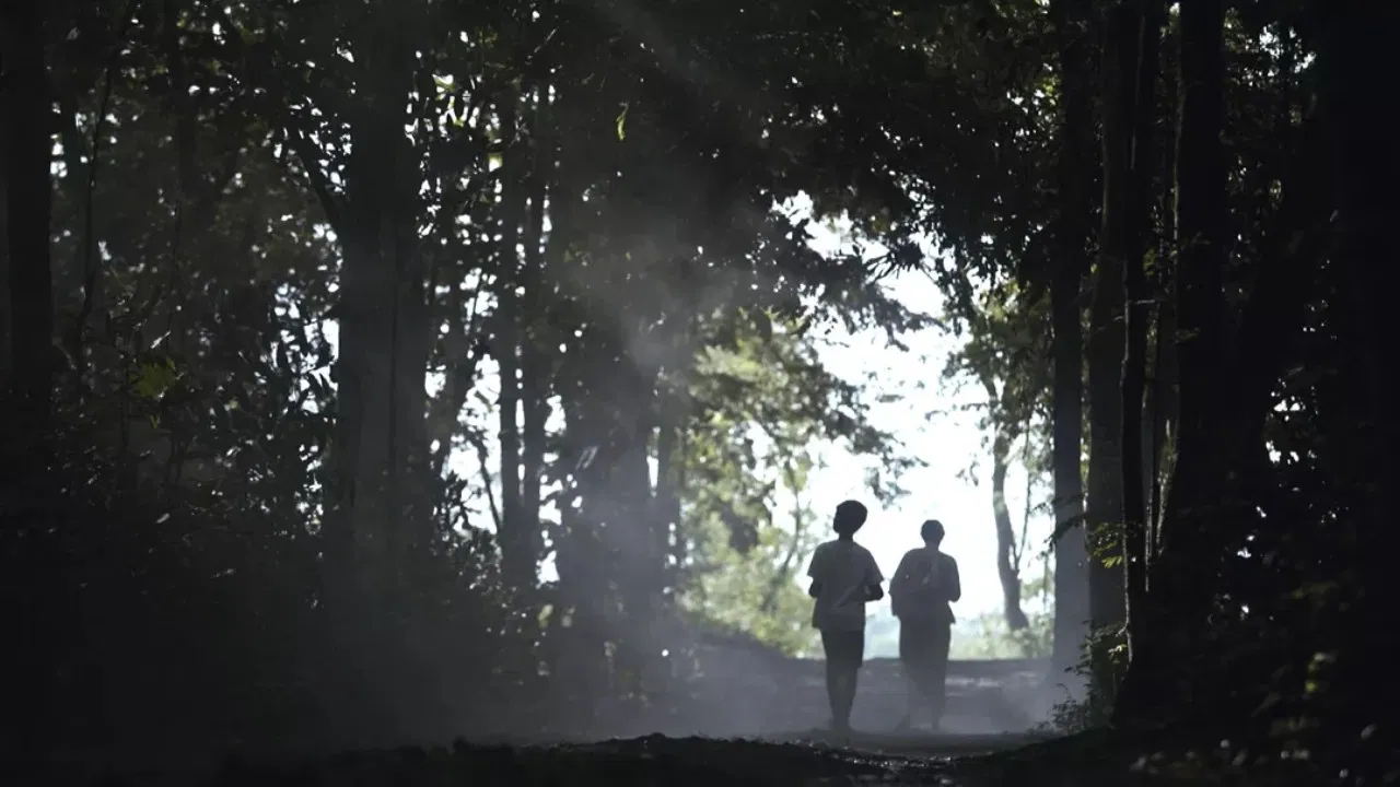 Mist of the Past backdrop