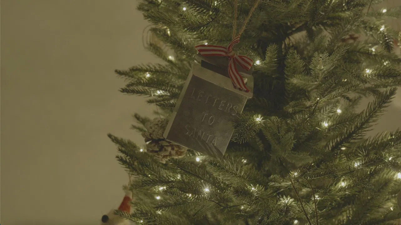 Santa's Never Been to My House backdrop