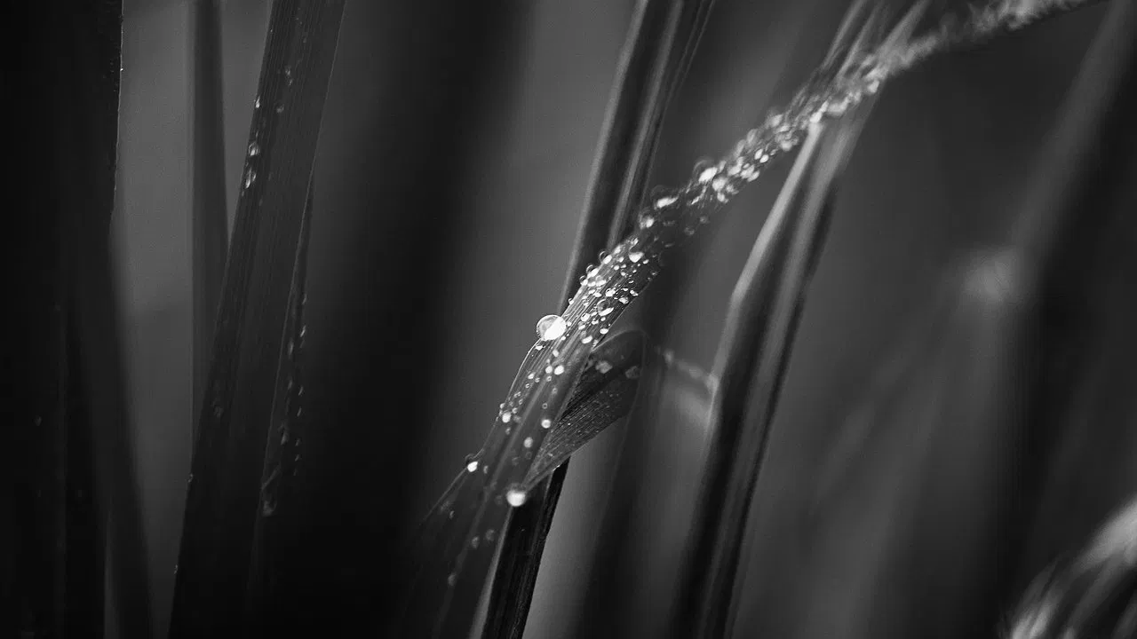 The Mountain's Siege backdrop