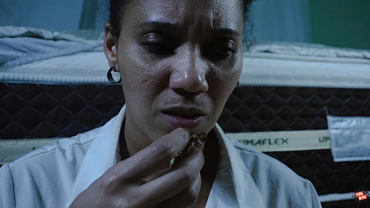 Quem Sou Eu? backdrop