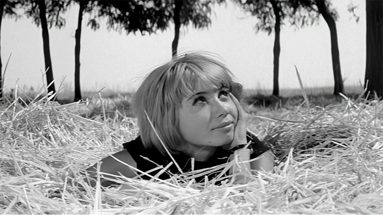 Monday Morning backdrop