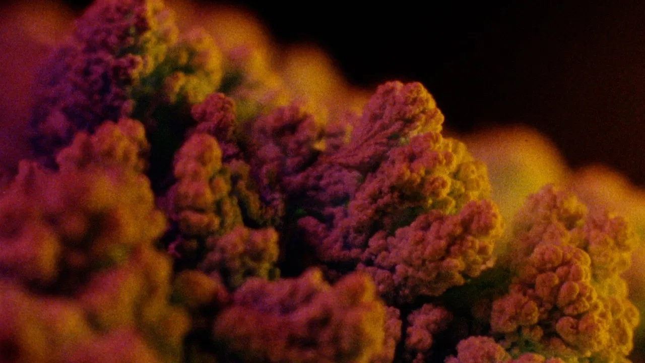 Instant Life backdrop