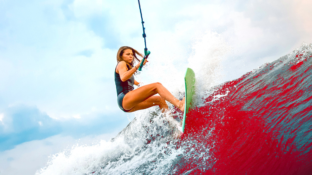 Rogue Shark backdrop