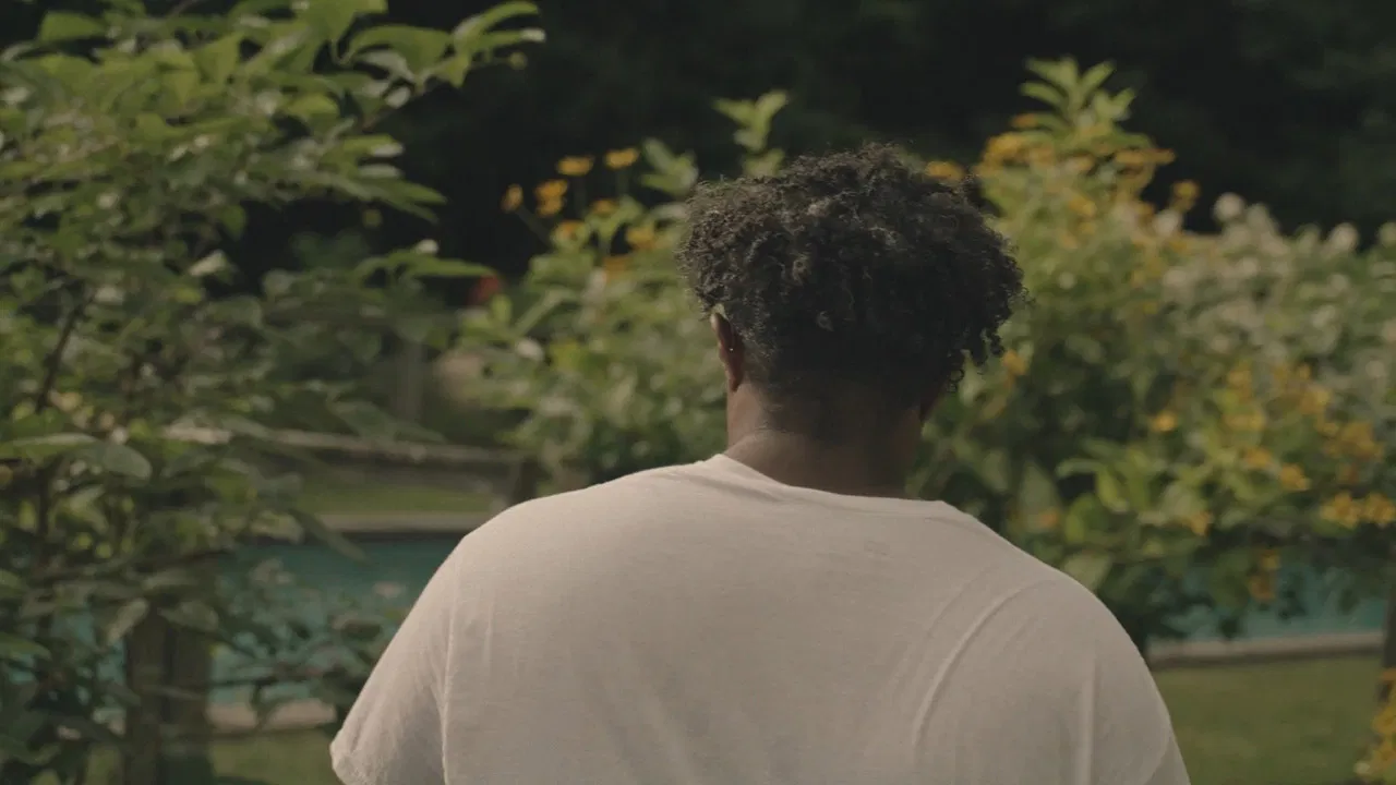 Summer Solstice backdrop