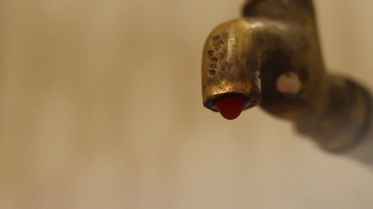 The Tap Story backdrop