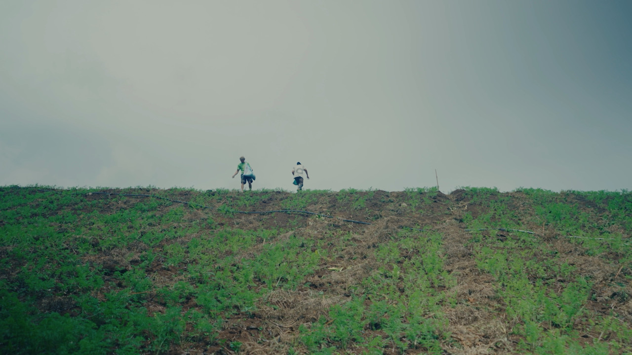 People of the Highlands backdrop