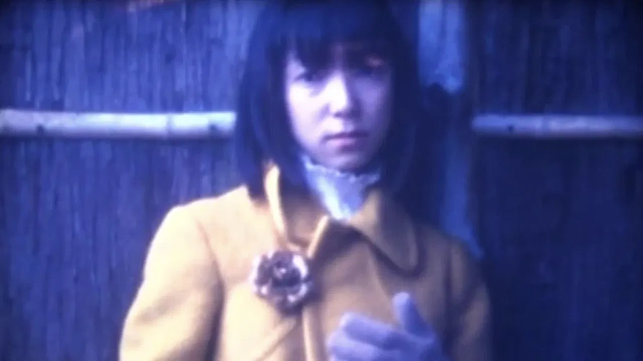 Winter flower backdrop