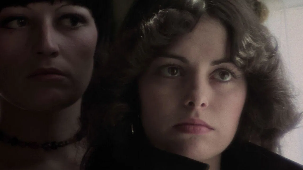 Shining Sex backdrop