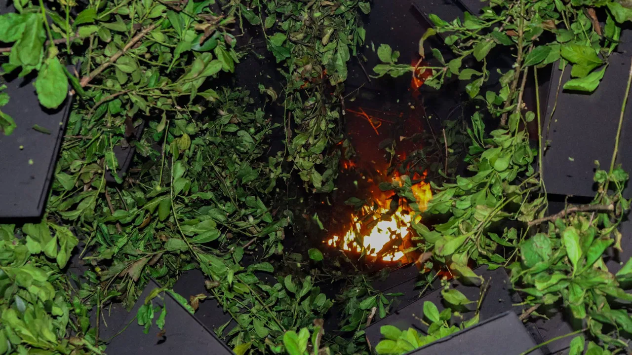 Primeira FEIMATE: Feira da Erva-Mate e Processo Produtivo da Erva-Mate - Historiando em Novo Barreiro backdrop