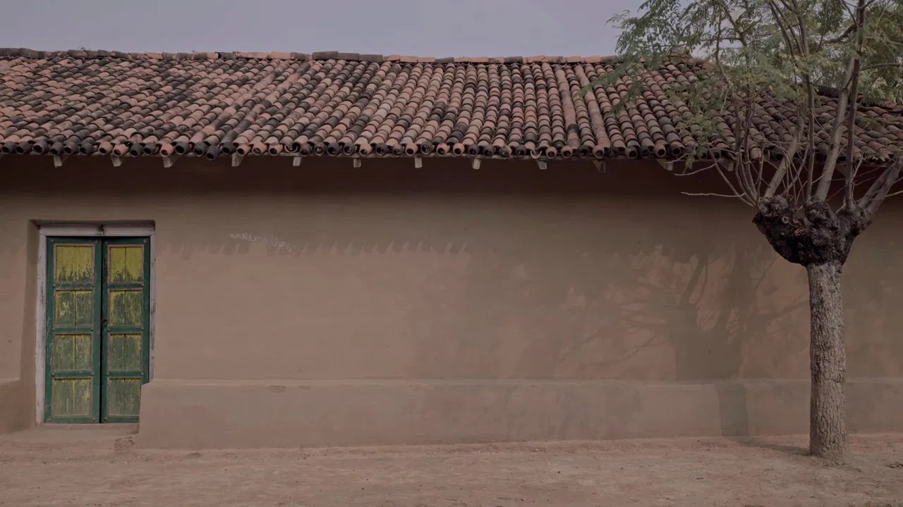 Tortoise Under the Earth backdrop