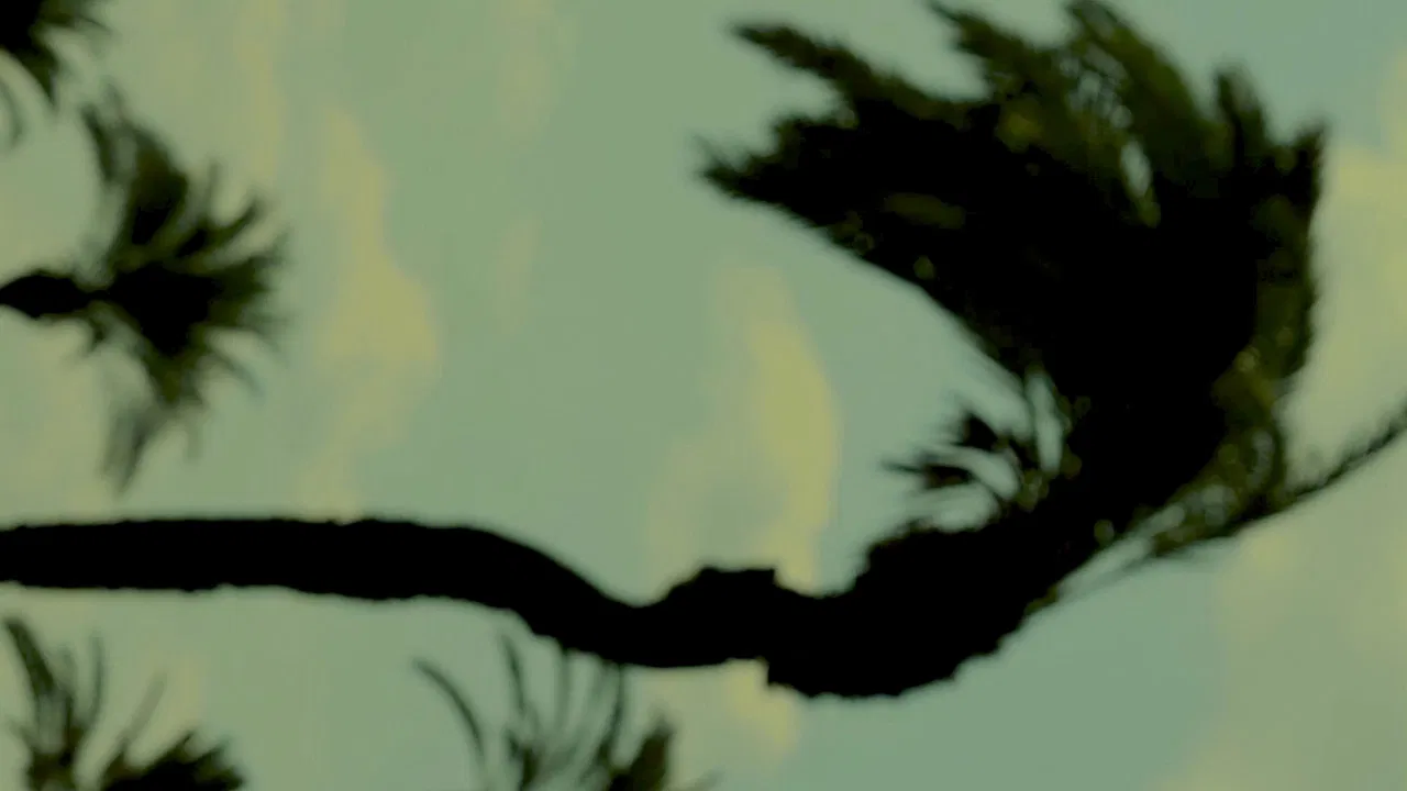 State of Matter backdrop