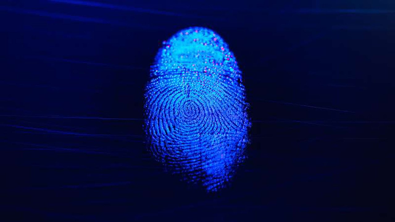 Extreme Forensics backdrop