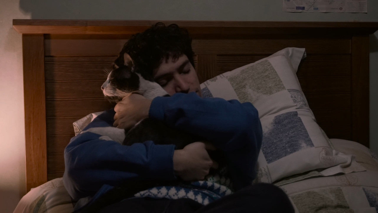 The Palm Trees (Documentary Niños del Cerro) backdrop