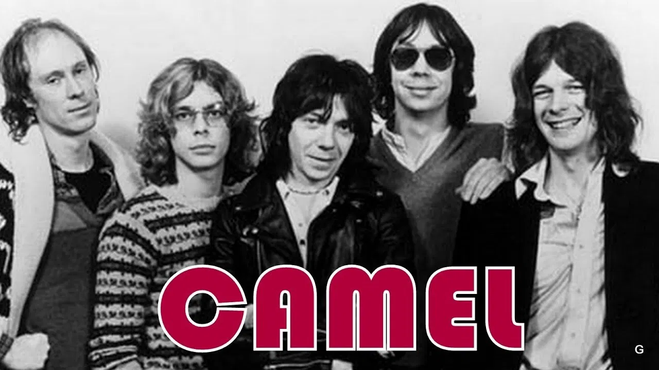 Camel - Moondances backdrop