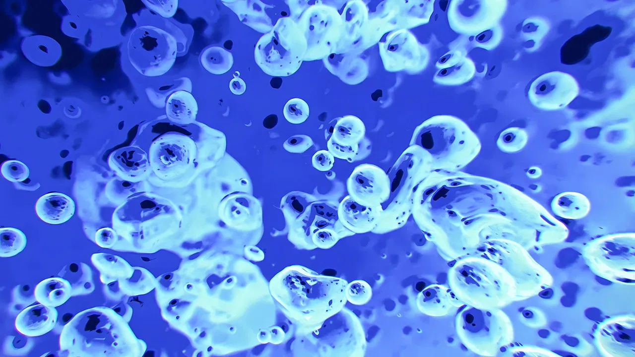 The Best Of Liquid Television backdrop