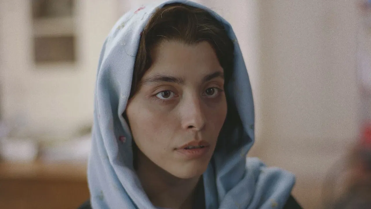 Farzaneh's Migration backdrop