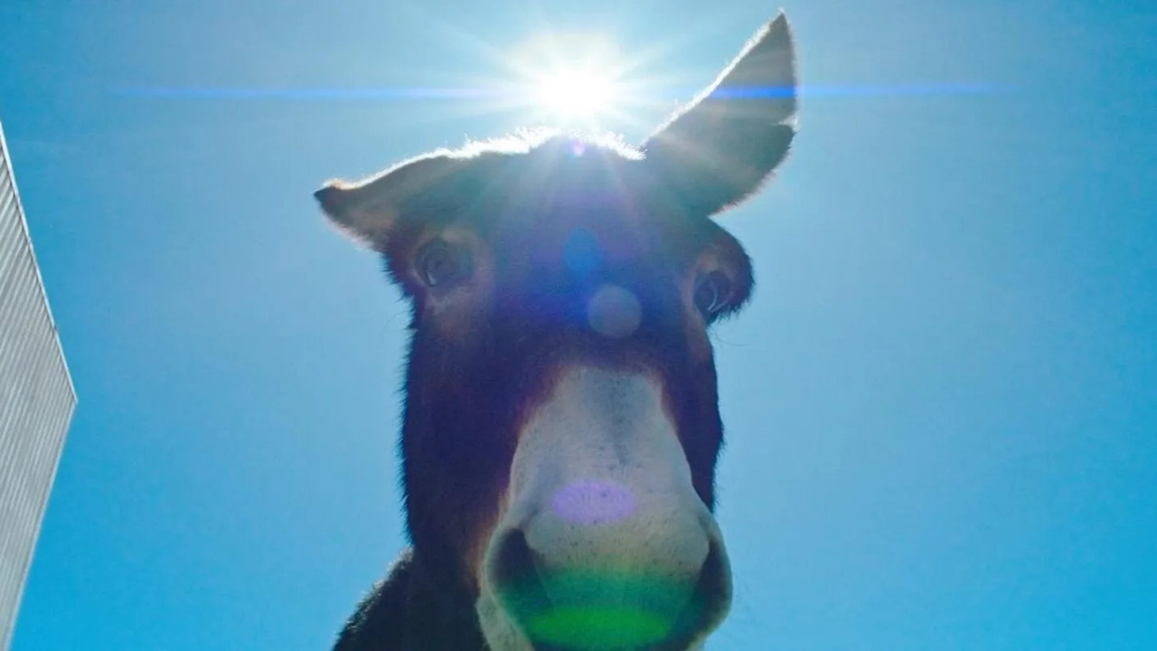 Perfectly a Strangeness backdrop