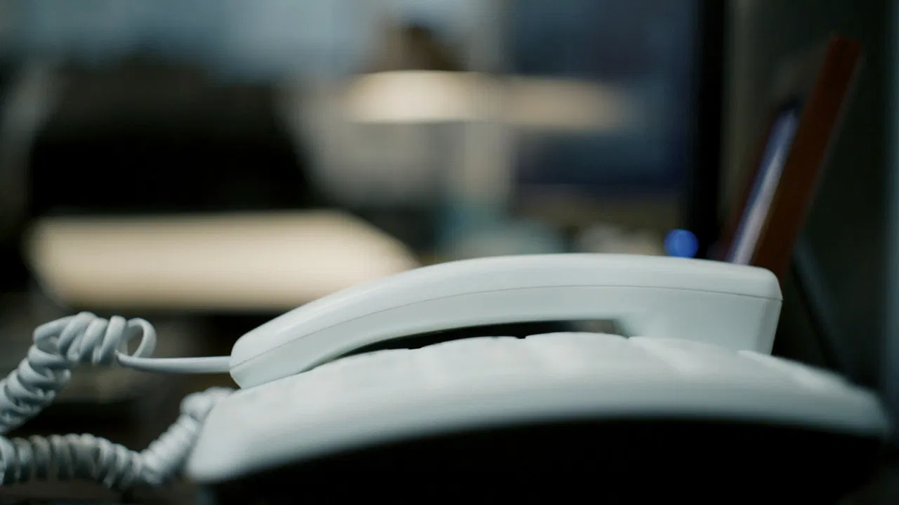 Chatbot DeeDee backdrop