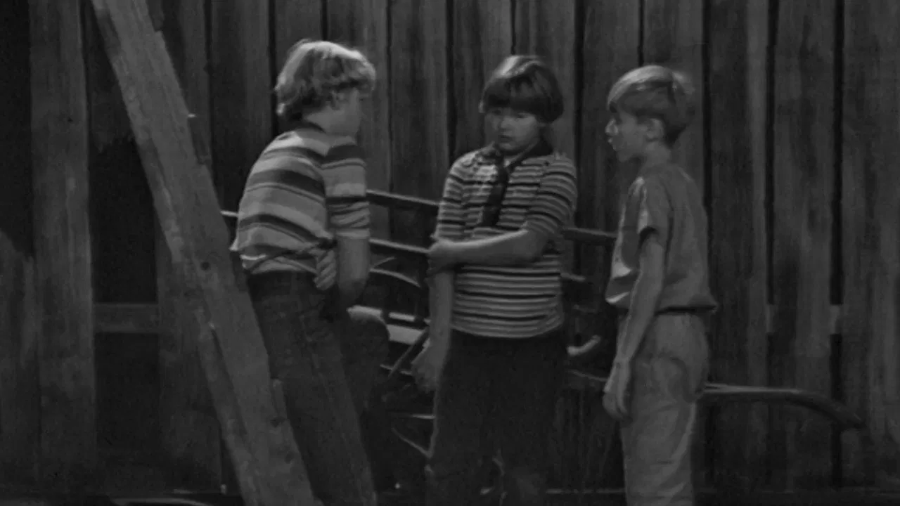 Mästerdetektiven Blomkvist på nya äventyr backdrop