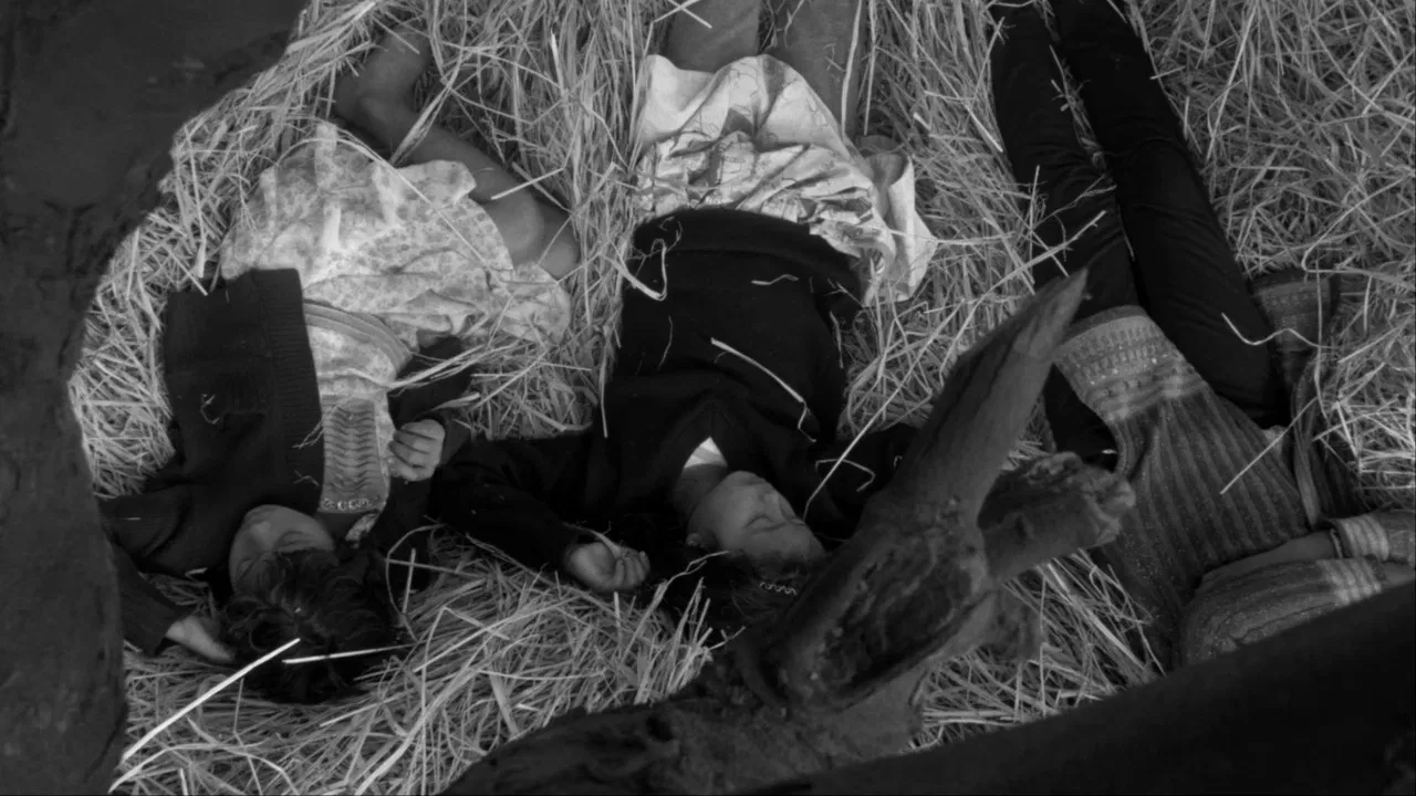 My Courtyard backdrop