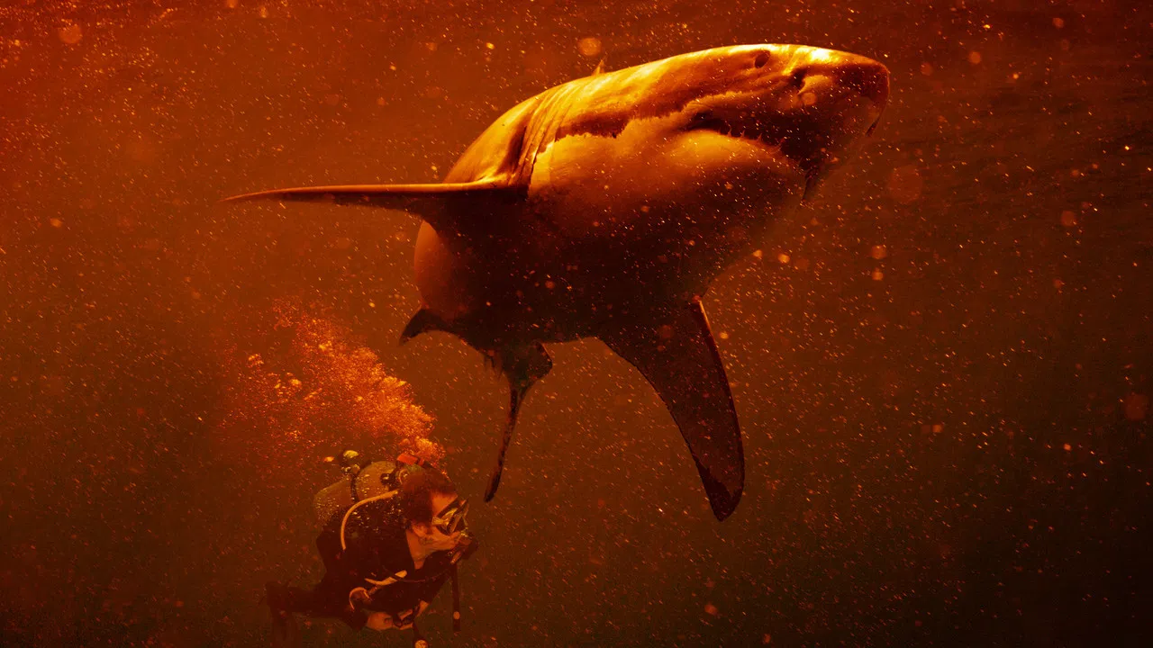 Sharkcano: Hawaii backdrop