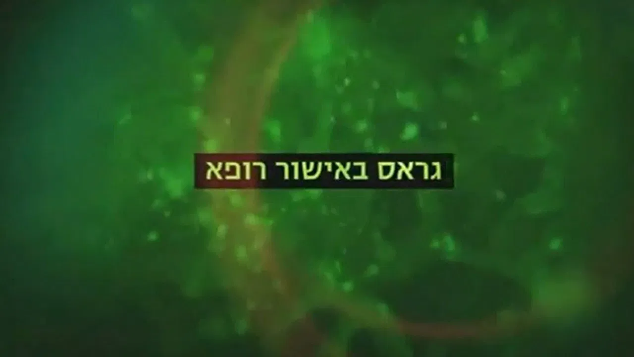 Medical Weed backdrop