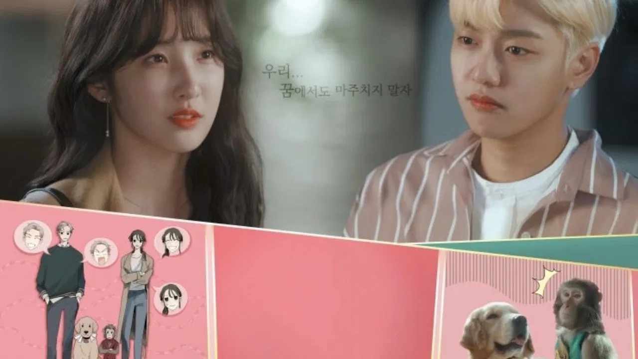 Monkey and Dog Romance backdrop