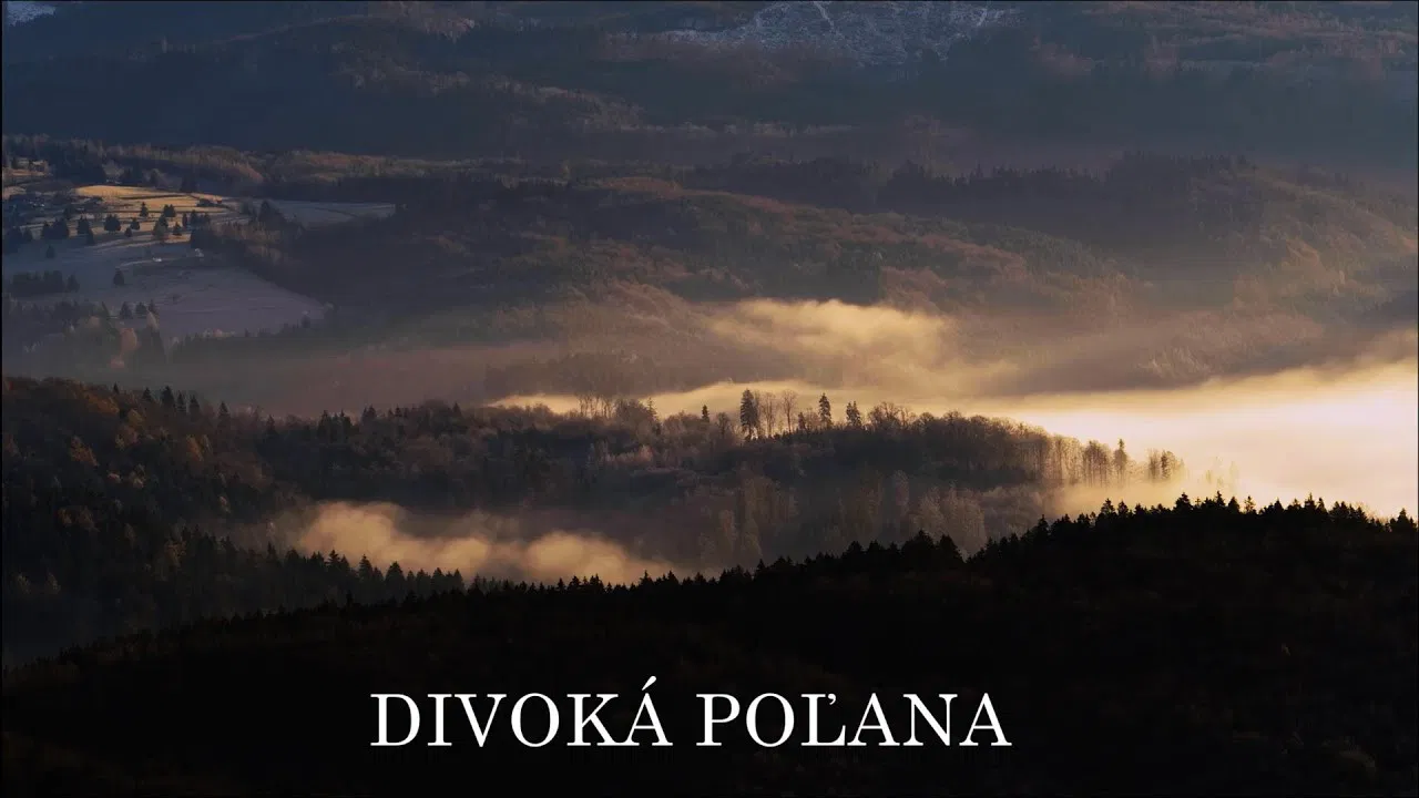 Divoká Poľana: V medveďom vulkáne backdrop