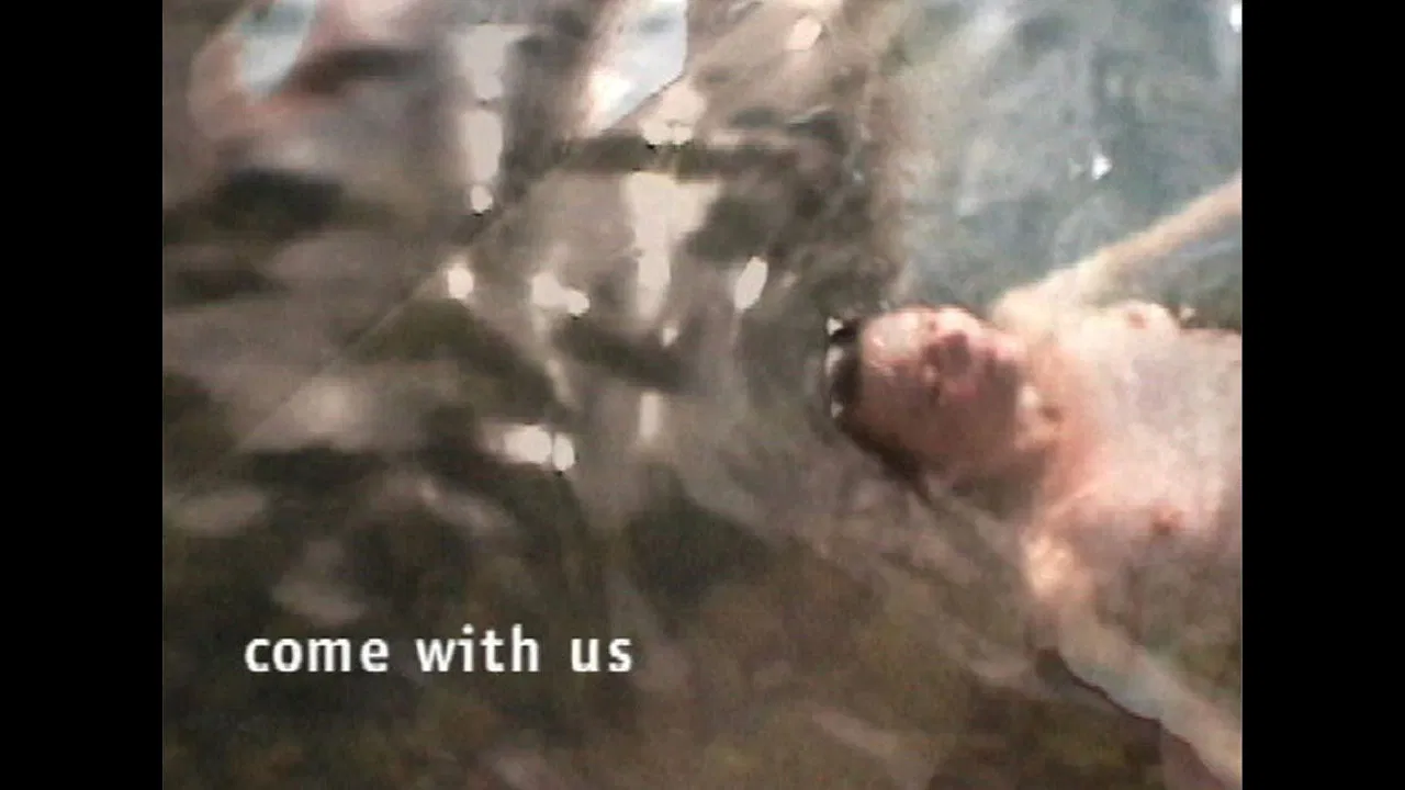 How to Be a Recluse backdrop