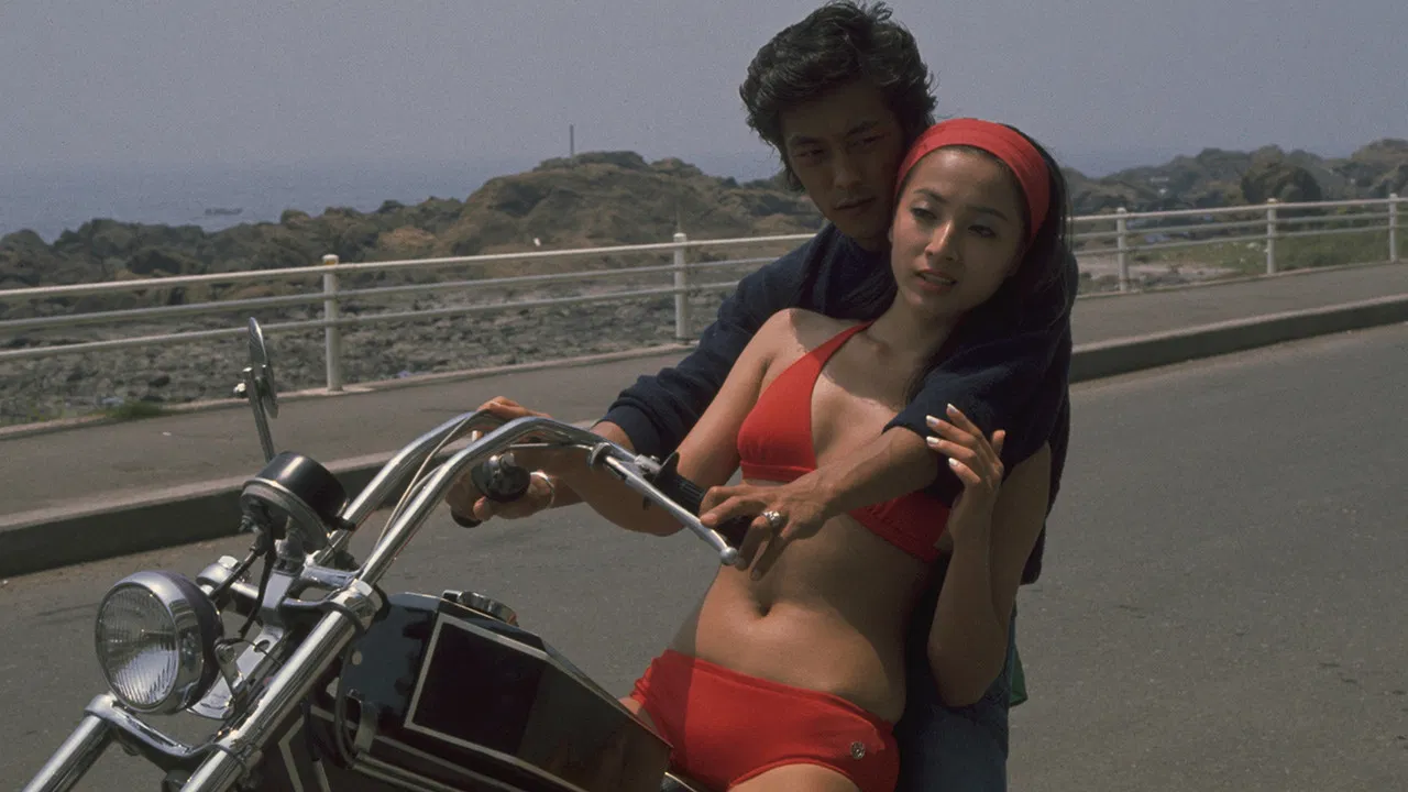 The Runaway Season backdrop