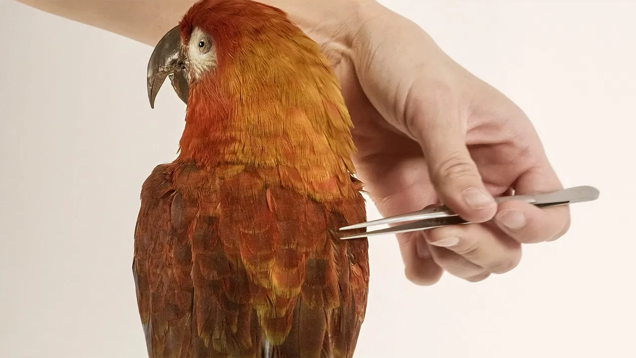 Archive of the Future backdrop