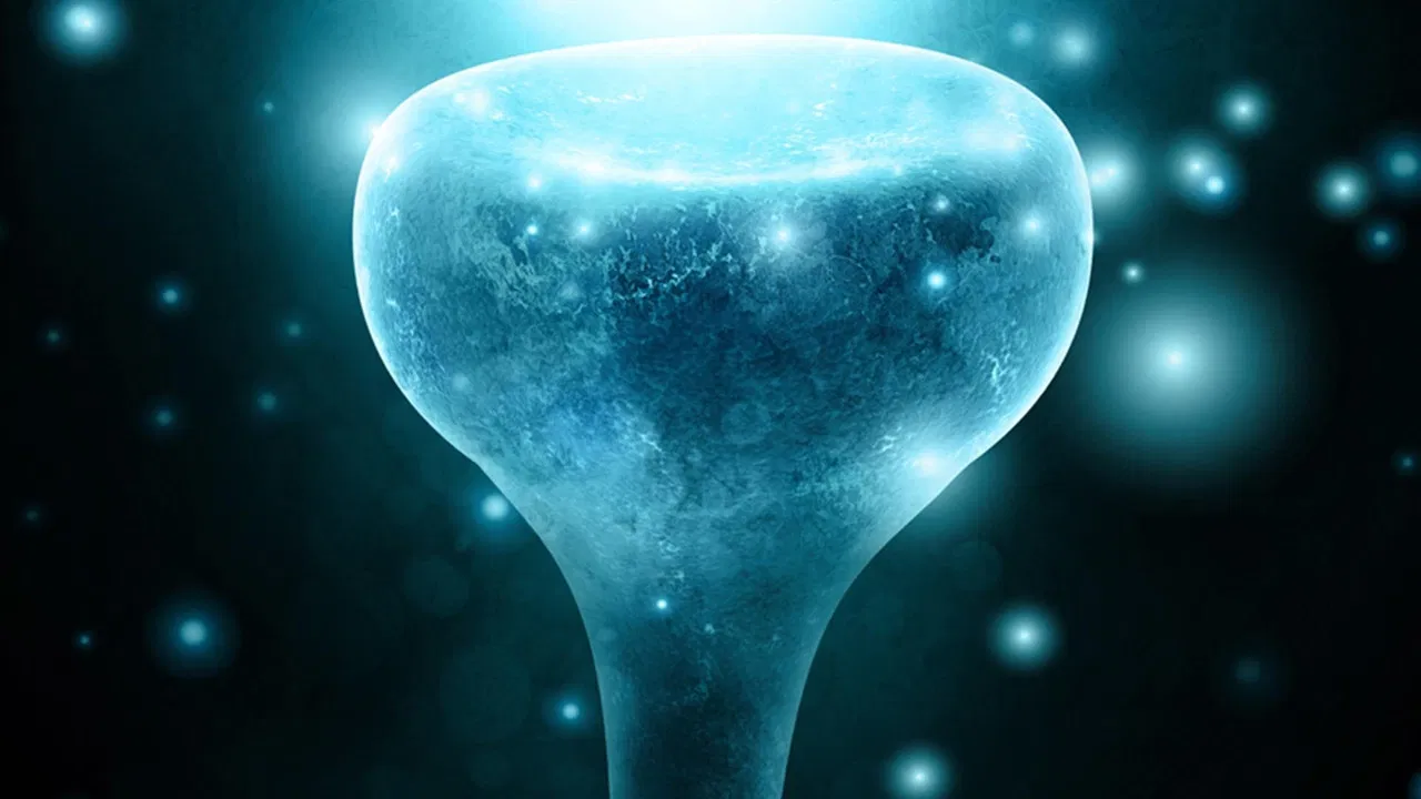 Neurons to Nirvana backdrop