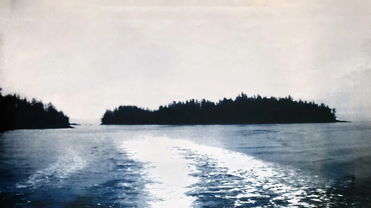 Misty Isle Out backdrop