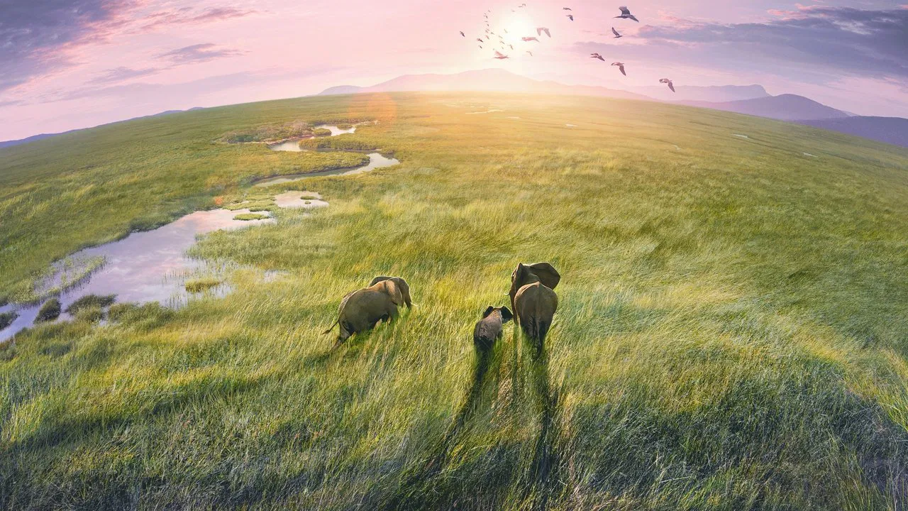 Planet Earth III backdrop