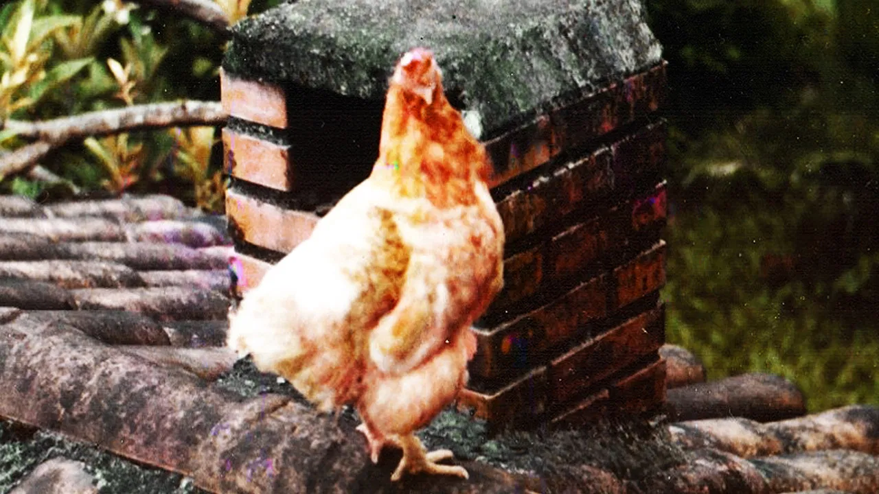 Poluição dos Mares & Oceanos backdrop