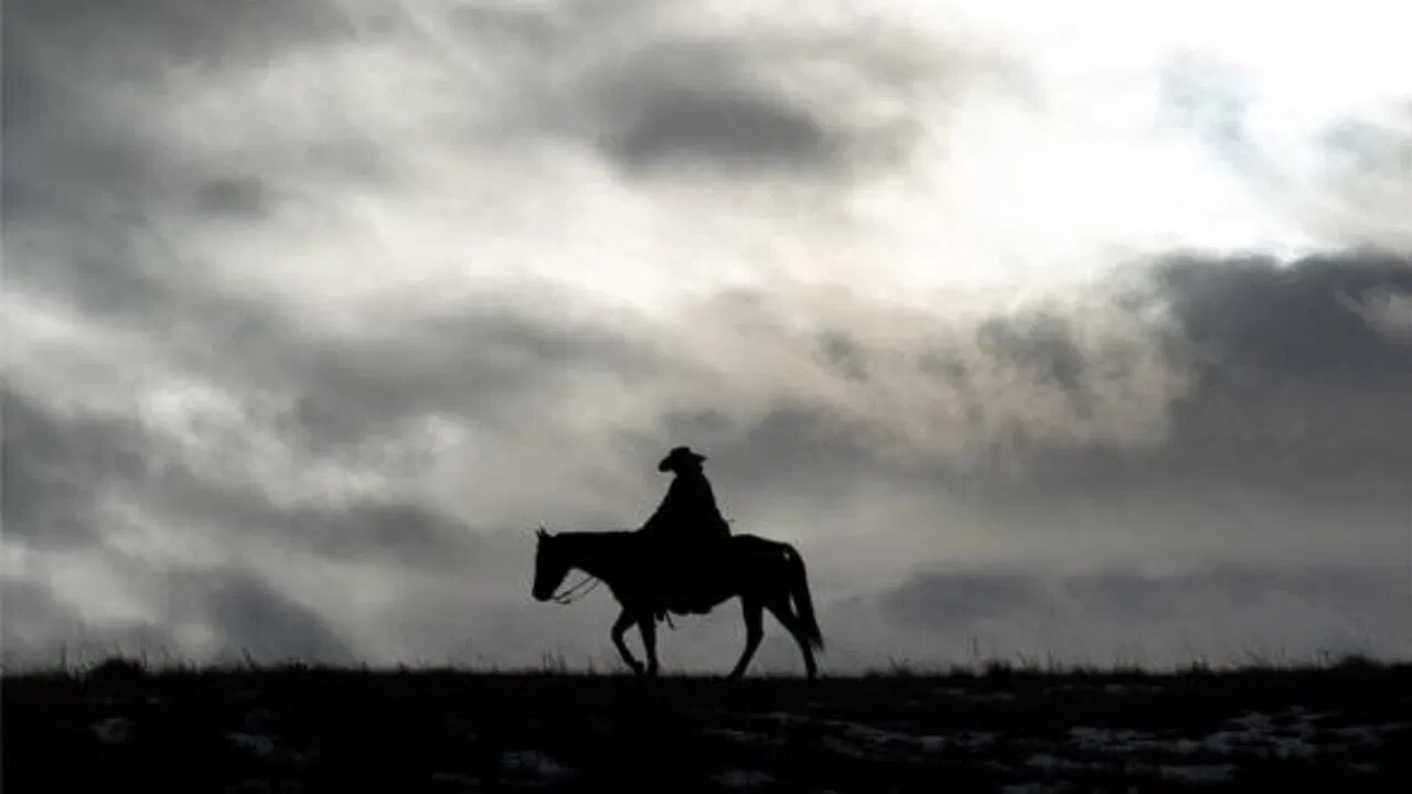Bring on the Dancing Horses backdrop