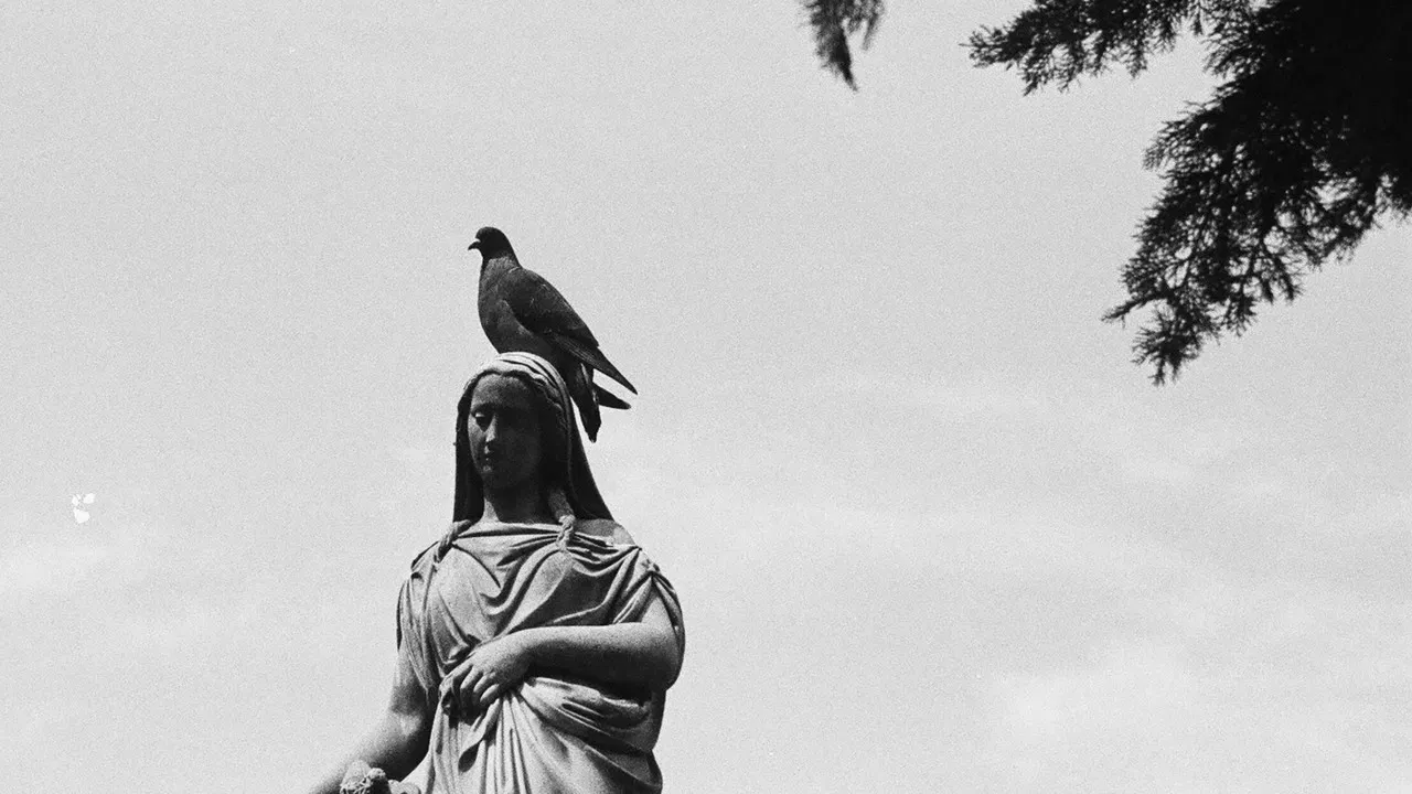 Voices of Light backdrop