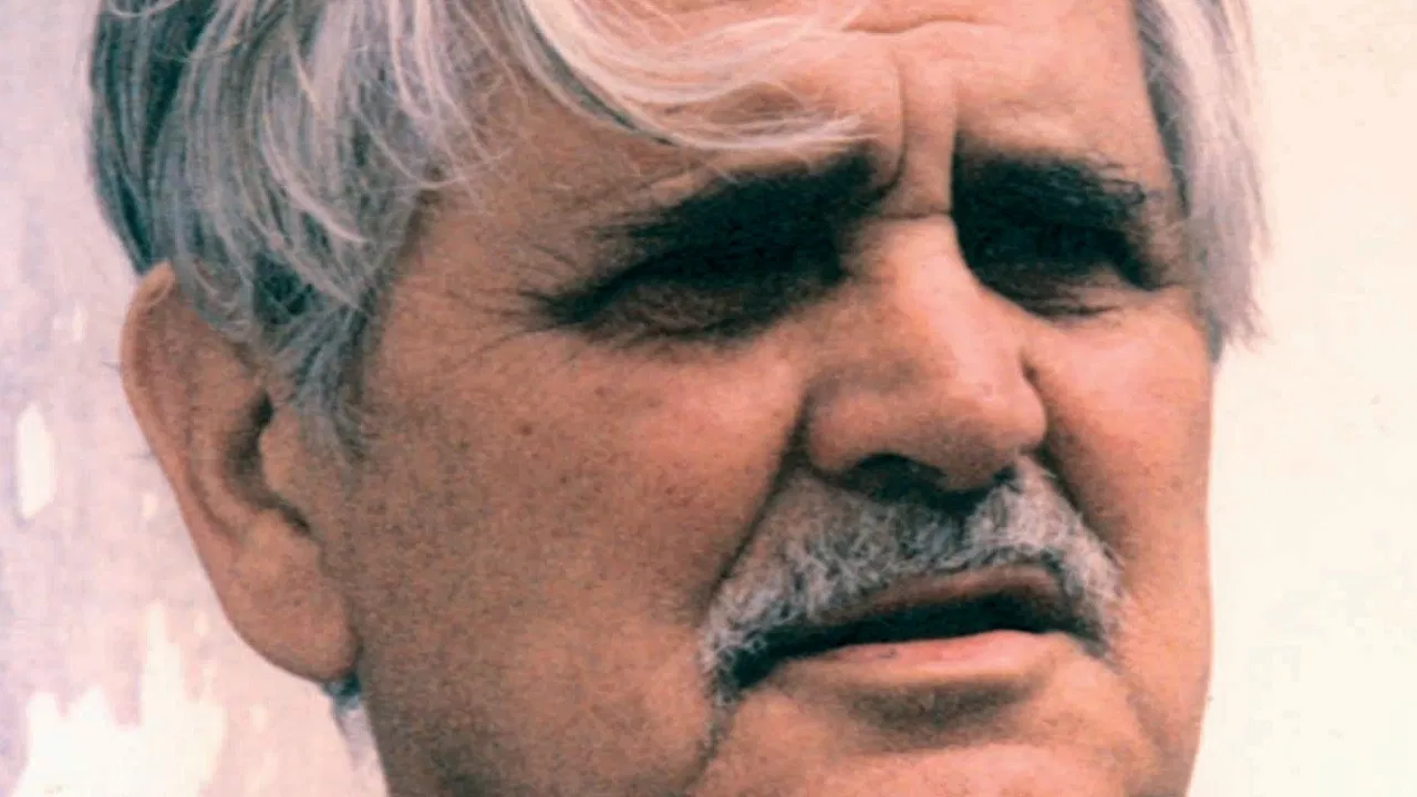 The rooster and the dawn backdrop