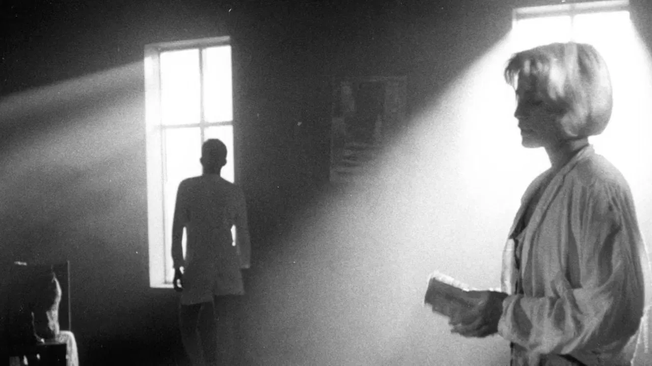 To a Stranger backdrop