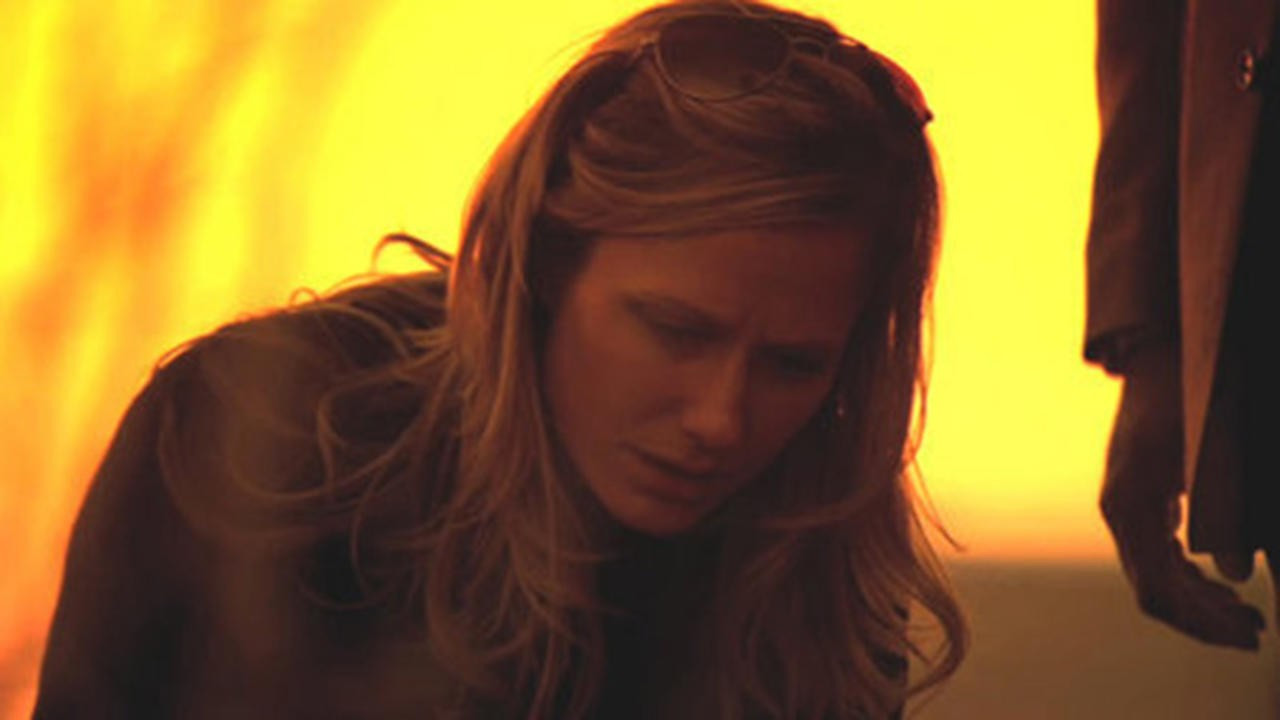 The Fun Park backdrop