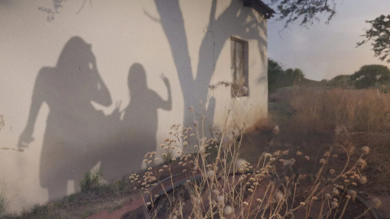 Stella Murders backdrop