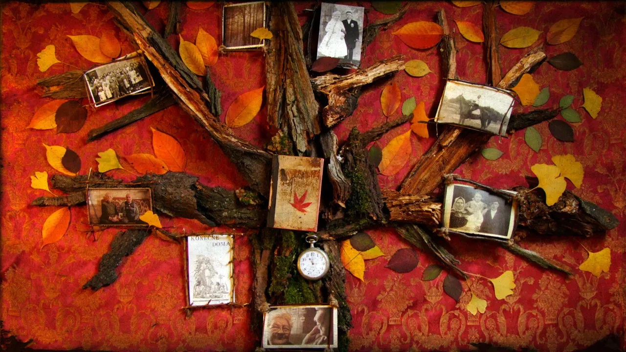 Felvidek – Caught in Between backdrop