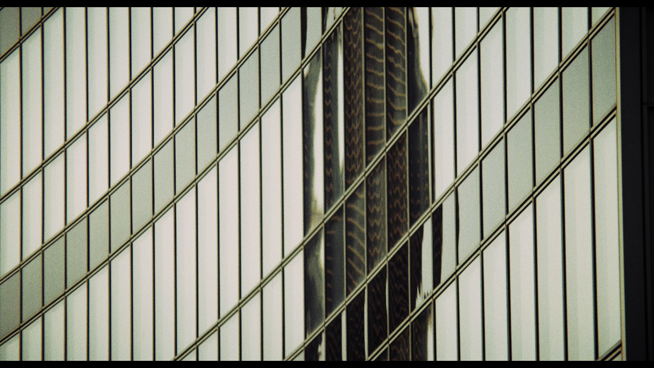 Sans regard backdrop