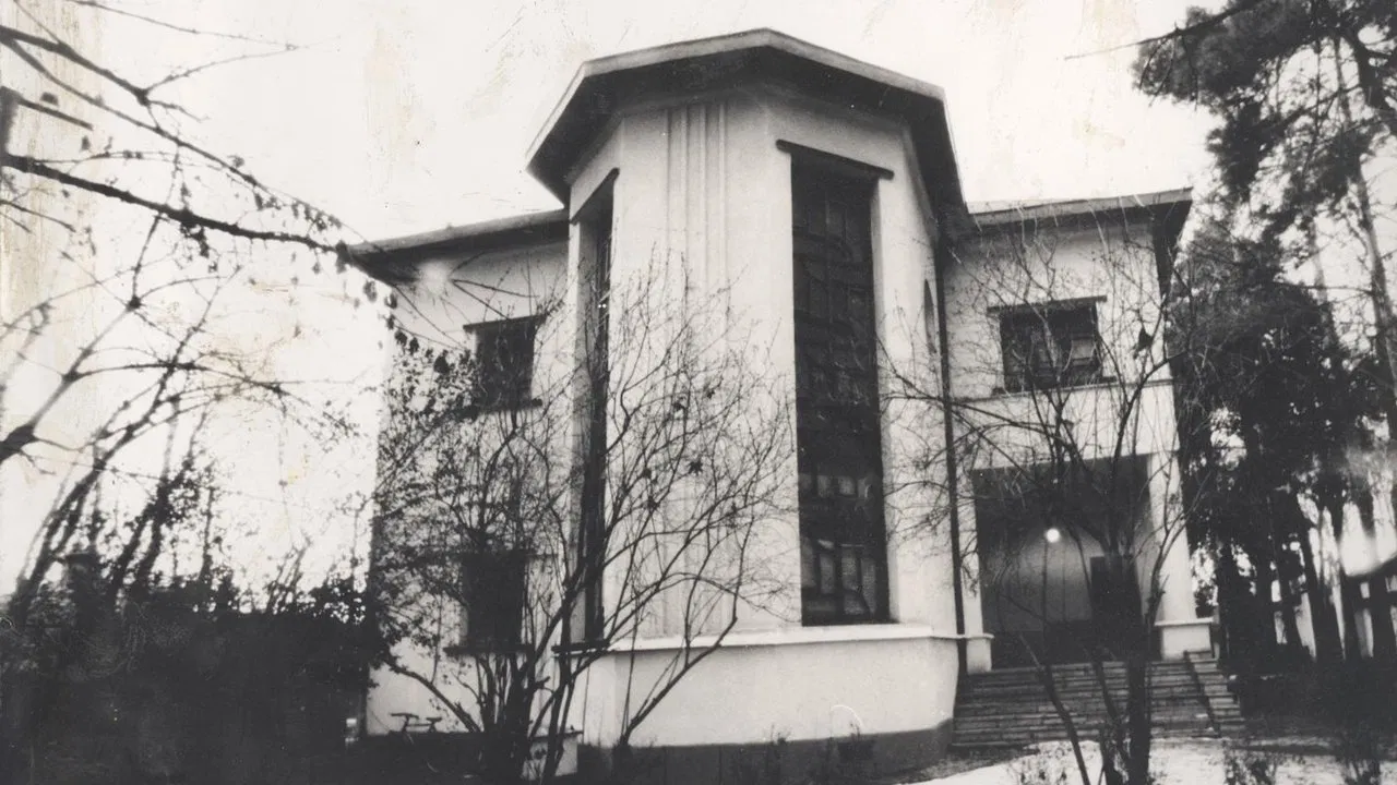 Silent House backdrop