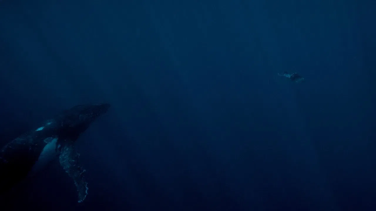 Living on the Threshold backdrop