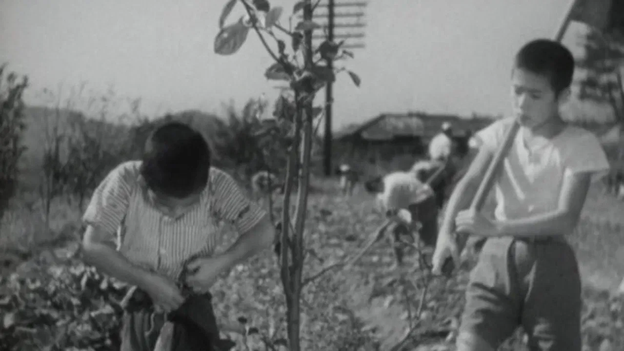 Introspection Tower backdrop