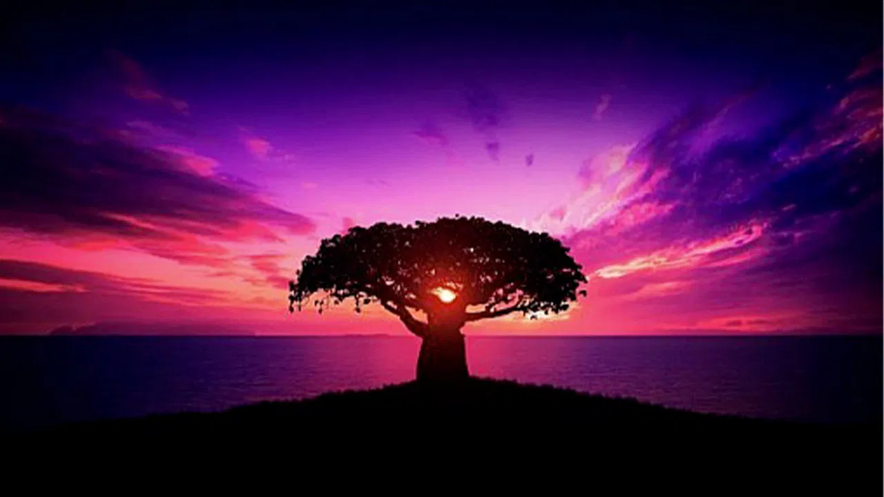 Dis-moi ta classe je te dirai qui tuer backdrop