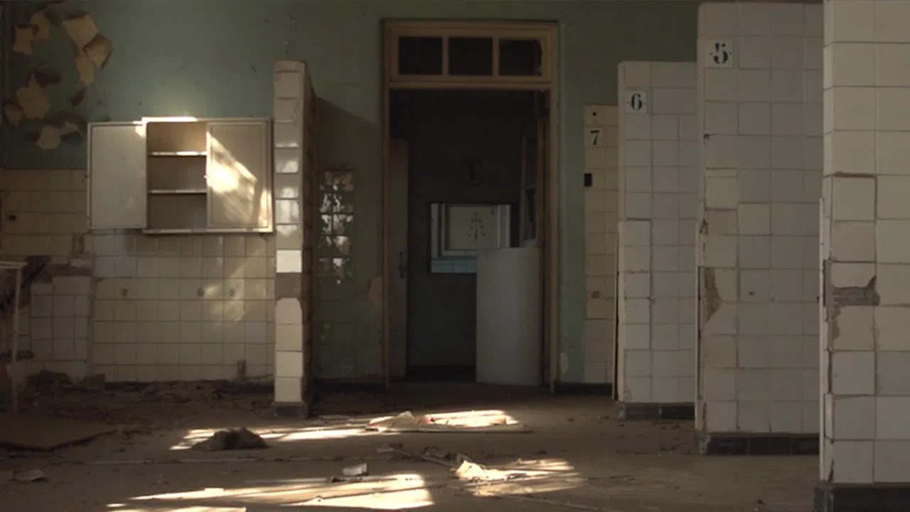 Memorándum backdrop